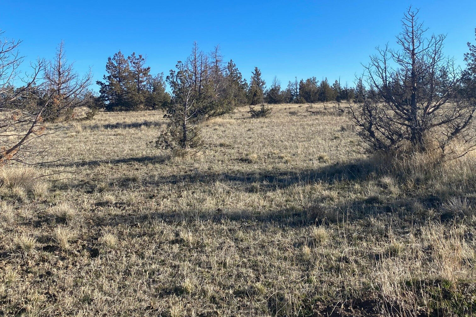 Longhorn Ridge - Land