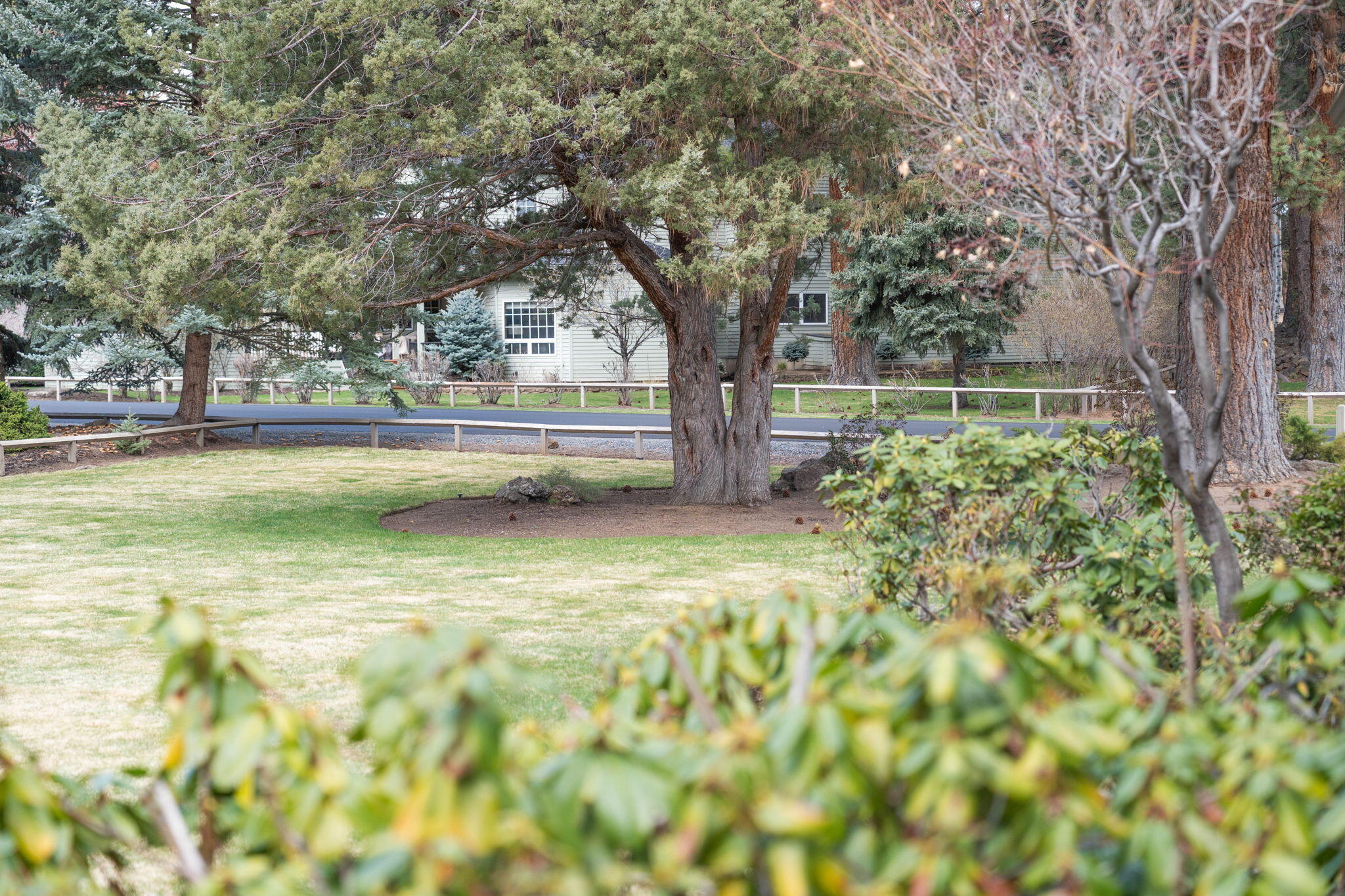 Mtn High - Residential