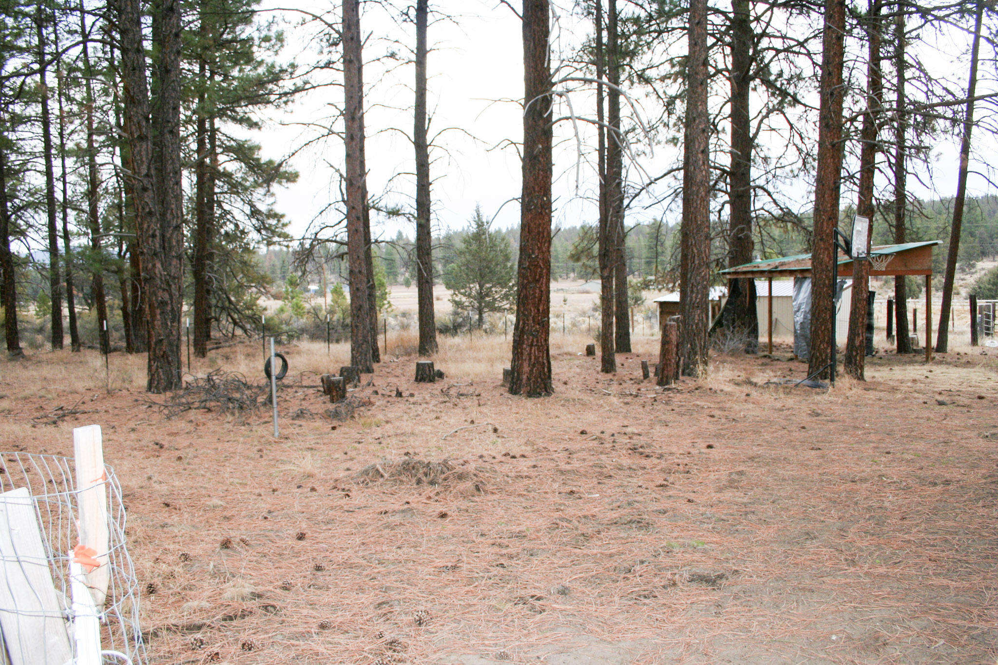 Klamath Forest Estates - Residential