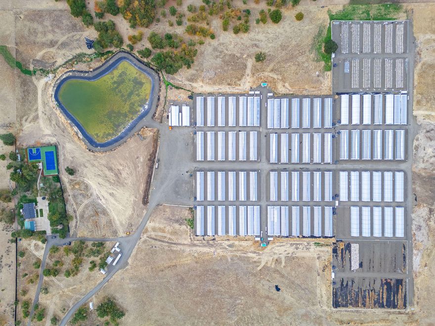 Oregon's premier light deprivation farm which includes 7 Tier 2 farms in southern Oregon with room to continue to expand. Each farm has 11 mature flower greenhouses which are 120'x30' with extra high side walls for added ventilation. Each farm includes an additional 120'x50' immature veg greenhouse, equipped with triple-layer plastic for additional insulation, 48 HPS lights, & 450k BTU heaters. The property features an irrigation system that was professionally engineered for this site, utilizing a large high flow irrigation well & holding pond. Power is supplied by 2 500kW Cummins generators, delivering 3200 amps of 3-phase power & 600 amps of single-phase power. Additional amenities include 2 30'x120' storage structures with 14' roll-up doors & a mobile trailer for clone production. Built with the highest quality materials, this farm is designed to last. Farm also includes a 4 bed 3 full bath home, with corporate office,basketball & tennis/pickleball courts.