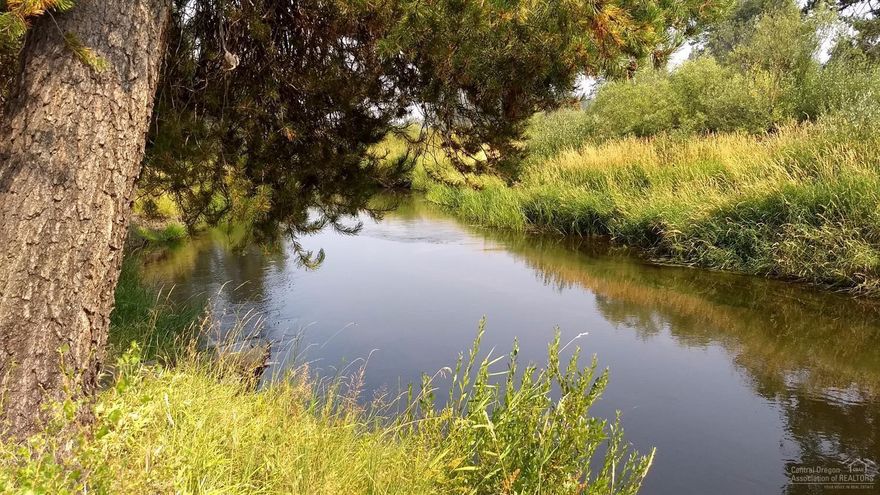 Looking for a great deal on recreational lots by the Little Deschutes River? Here are 5 lots; 3 lots that adjoin each other (1 of them is riverfront & the other 2 adjoin riverfront parkland). The other 2 lots that are included in this package sale: 1 is across the street from the 3 adjoining lots and the other is down a few lots. Beautifully treed lots that would be great for camping, fishing, kayaking, or just enjoying nature. Wildlife area with elk & deer that love these lots as well!