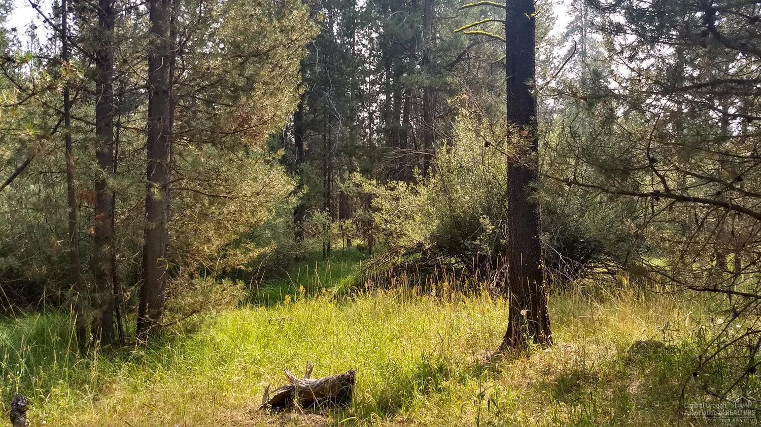 Deschutes River Acre - Land