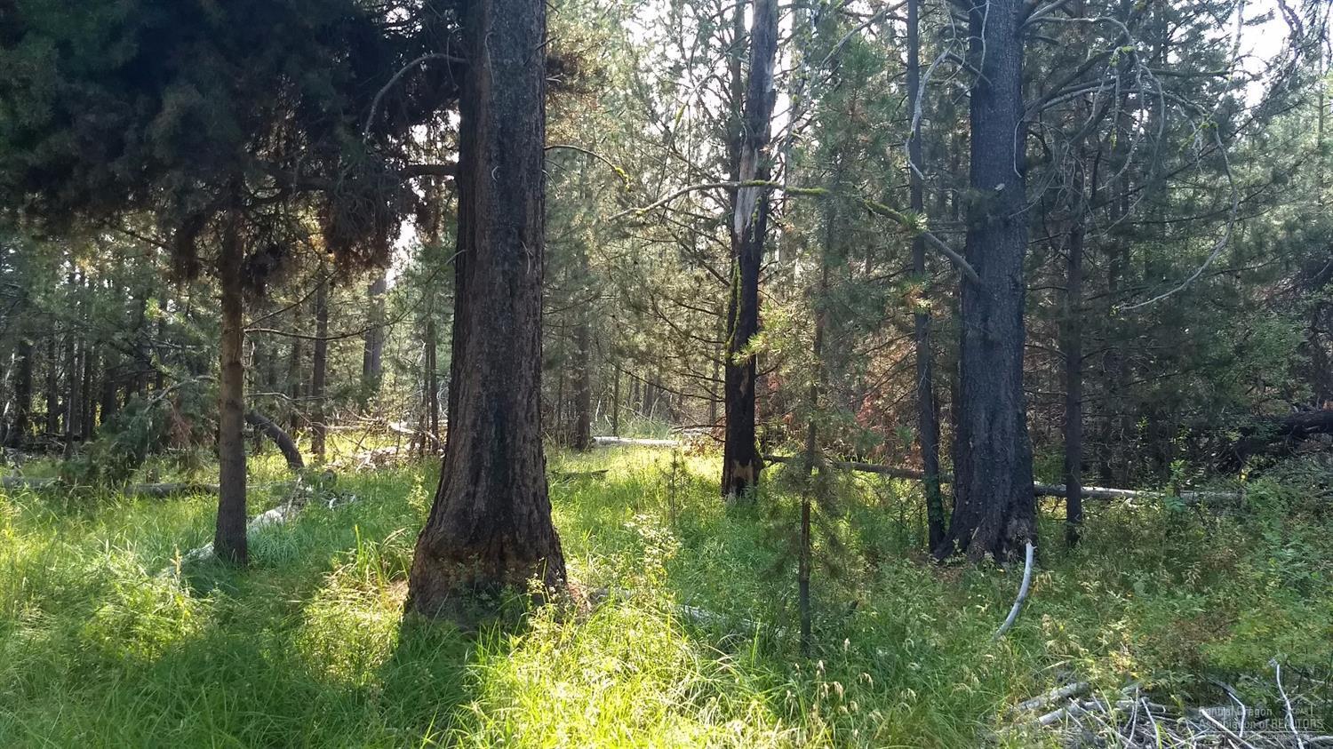 Deschutes River Acre - Land