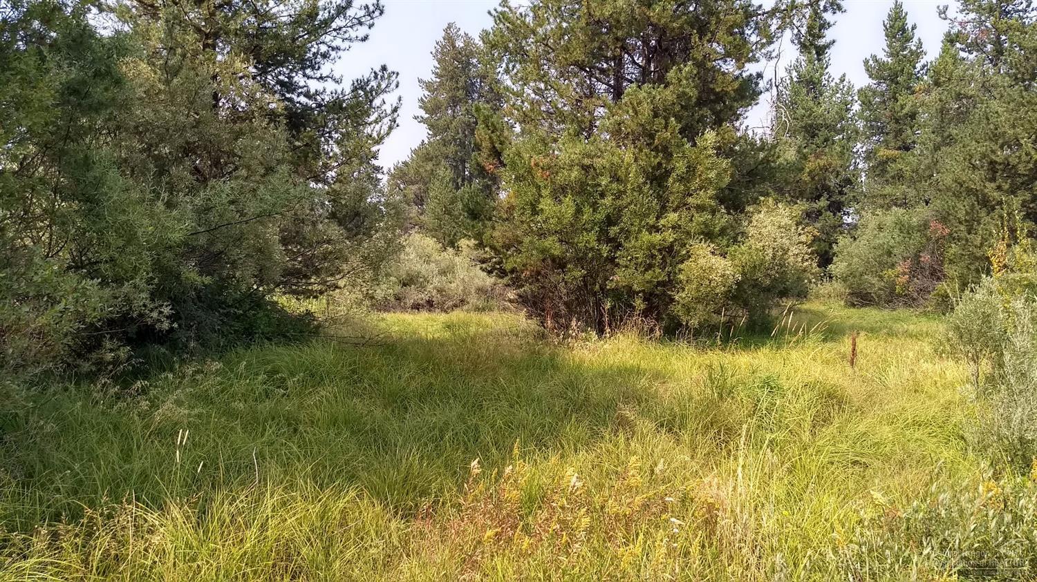 Deschutes River Acre - Land