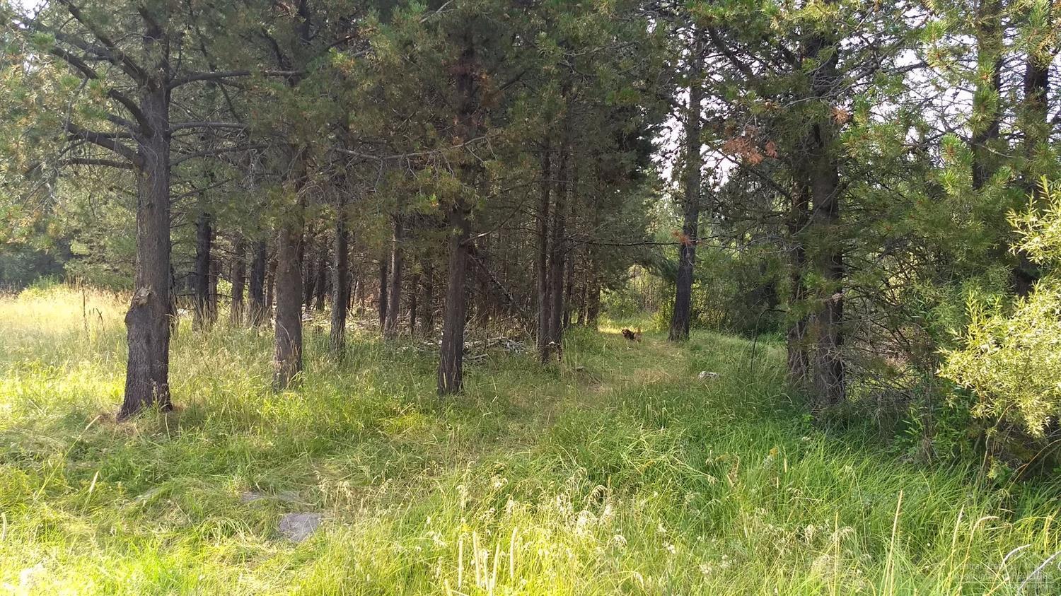 Deschutes River Acre - Land