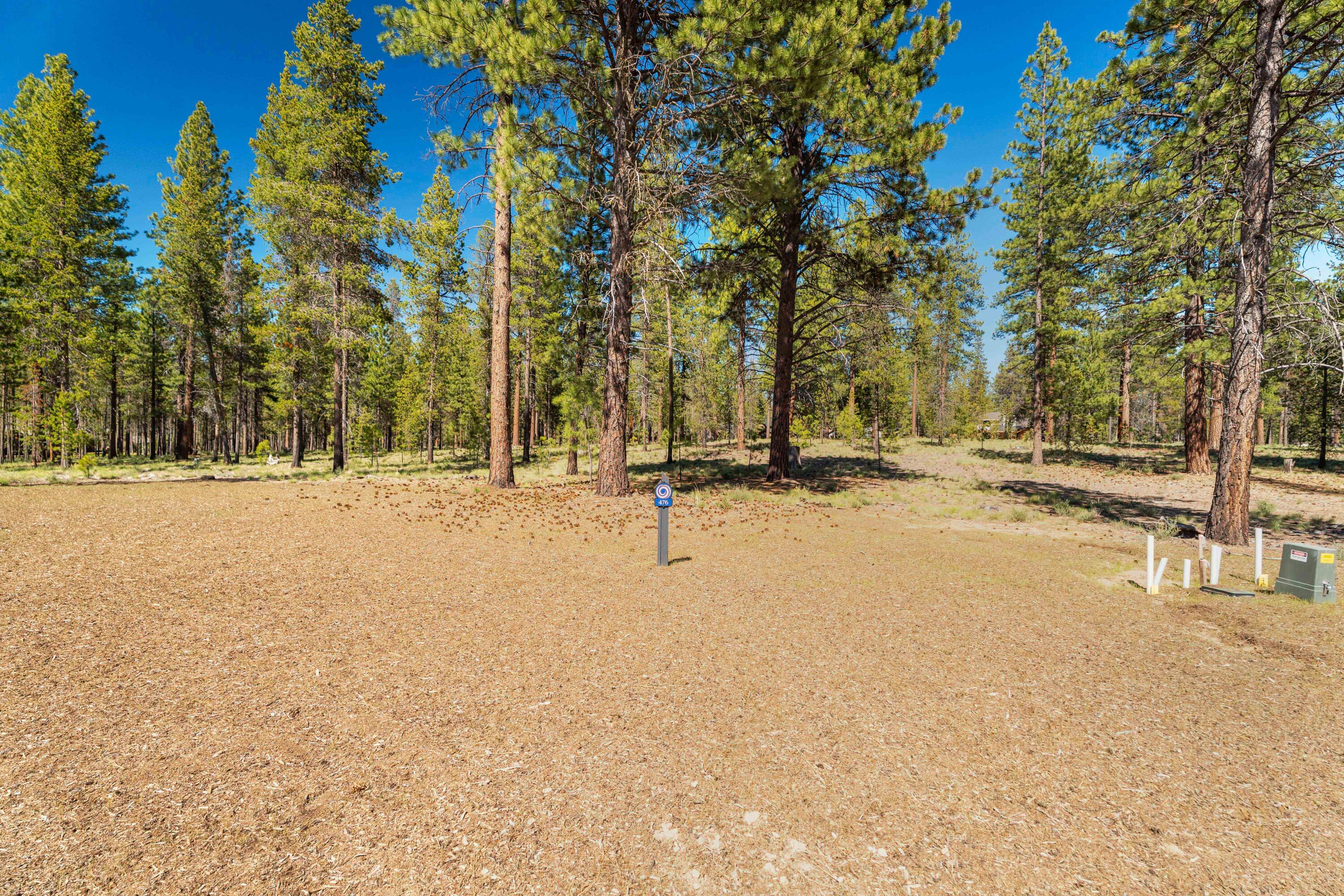 17723 Redtail Loop 476
