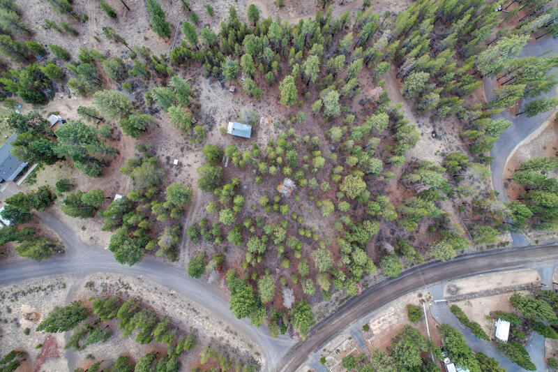 Newberry Estates - Land