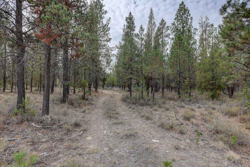 Newberry Estates - Land