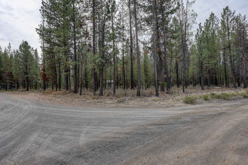 Newberry Estates - Land