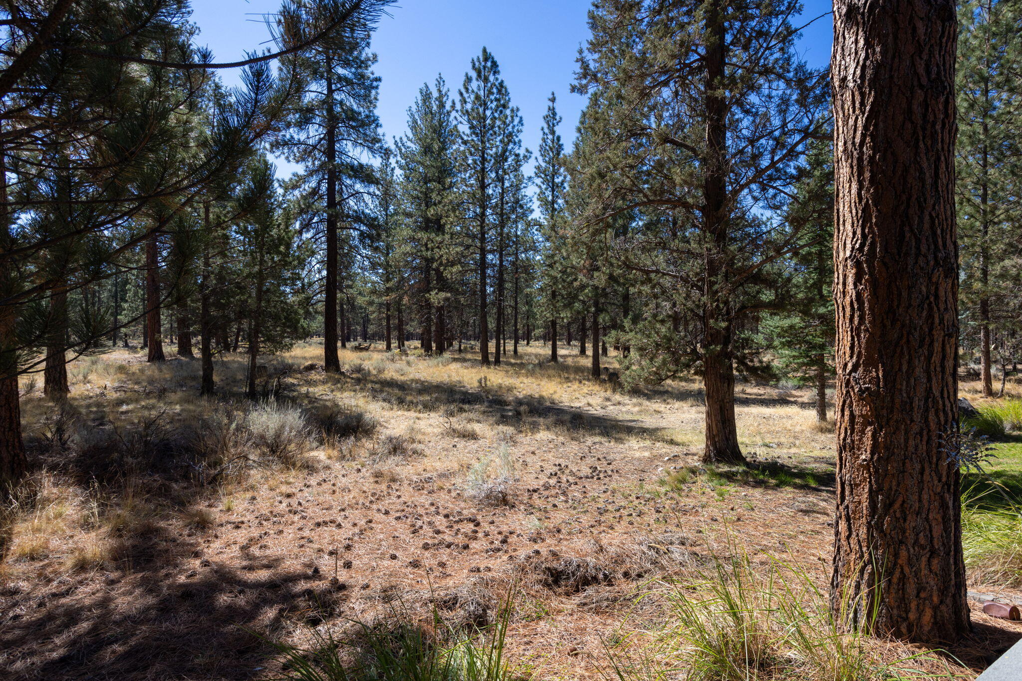 Buck Run - Residential