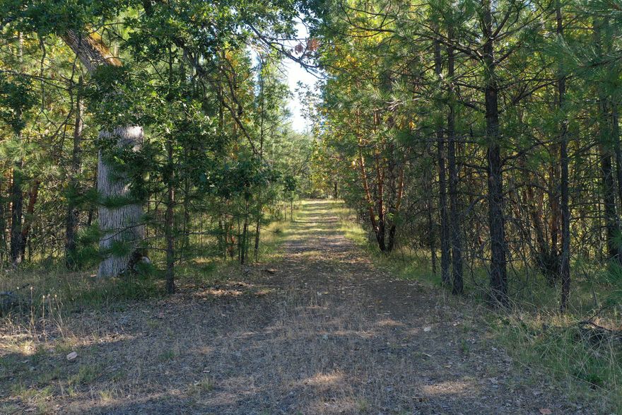 WILL CONSIDER OWNER CARRY WITH LARGE DOWN. 36.85 acres. Enjoy  views of Table rock & Mountains. This is one parcel with the 21.97 lot has had a home site approval in the past would need to reapply. The pond is seasonal, dry in the summer. A  septic, well & Power, gravel driveway off of  Meadows Rd. easy access with gate also.Flat area for home site. 14.88 acres is across the street, undeveloped land with amazing views that boarders BLM land tons of deer & wild turkeys with many Madrone trees. Property zoned OSR ( Open Spaced Reserve) Buyers to do all their due diligence regarding land use, well and septic.  No address, look for signs and coming from Hwy 234 the land is before Mile Marker 6 were turn out drive is. Look for green gate on one side of property,there is a road there also and big turn around area which is also where more of the property is if you walk threw the brush. Peaceful & quite area.