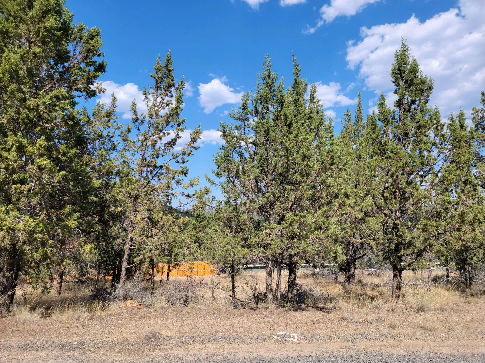 Golden Horseshoe - Land