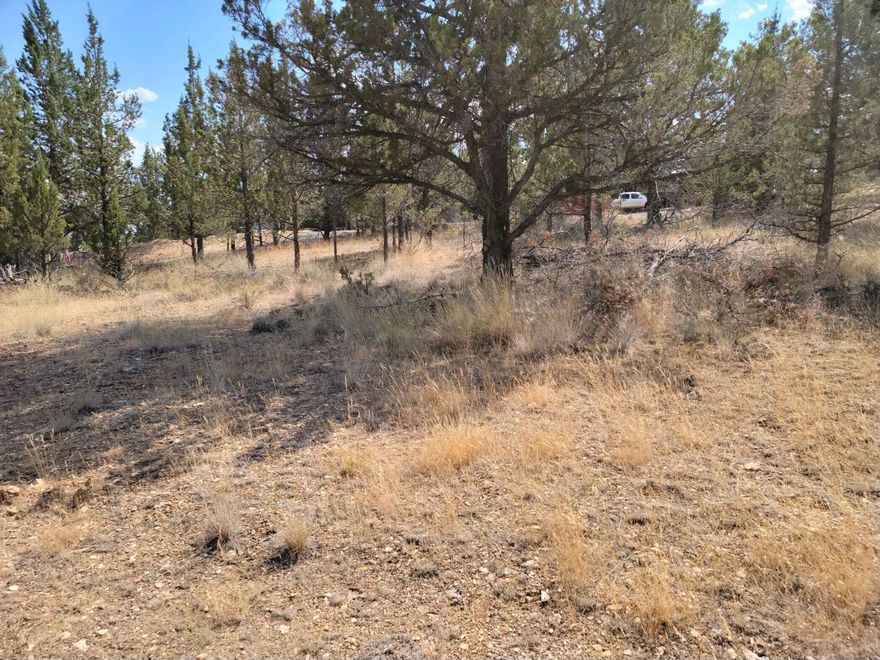 Price reduced! Sewer and Water available! Water hookup fee already paid! Nice! Nearly a 1/4 acre building lot with utilities available! Elevated area of the subdivision with nice view and water hook-up fee paid! Sewer at the road (hookup fee is $5,500.) Come enjoy all the amenities at Ochoco West! This amazing neighborhood shares 1,200 acres of common space with state lands and offers a community pool, clubhouse, stocked fishing lake, shooting range, ATV and hiking trails.