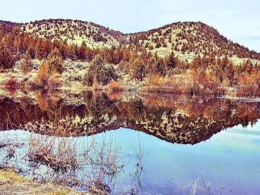 Golden Horseshoe - Land