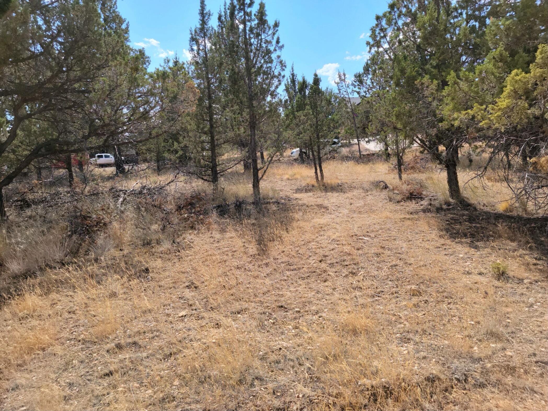 Golden Horseshoe - Land