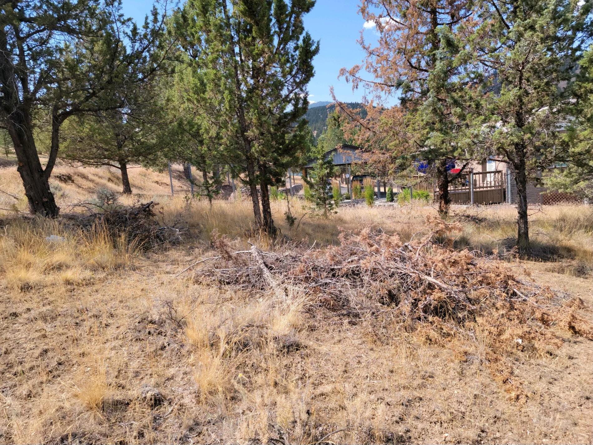 Golden Horseshoe - Land