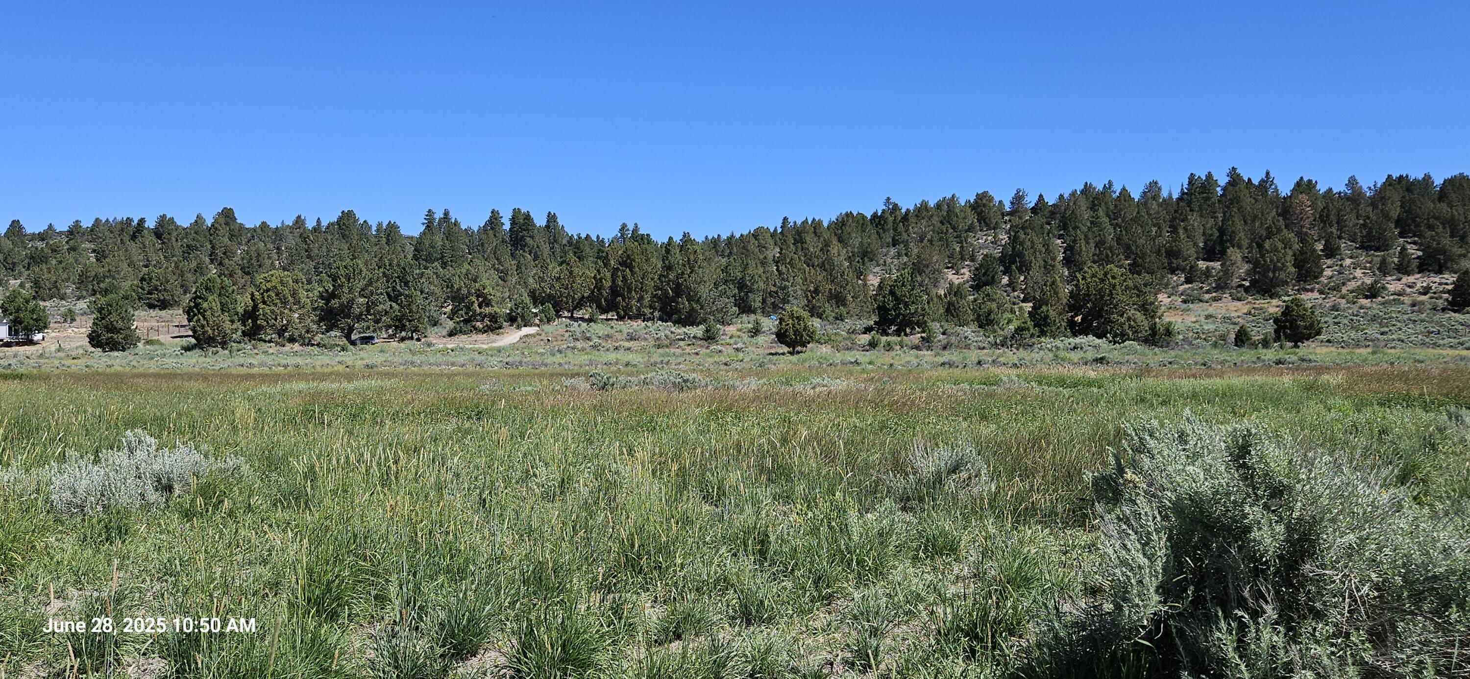 Nimrod River Park - Land