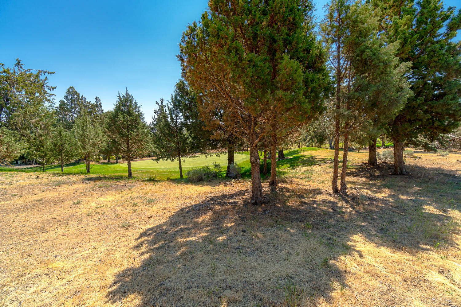 Greens At Redmond - Residential