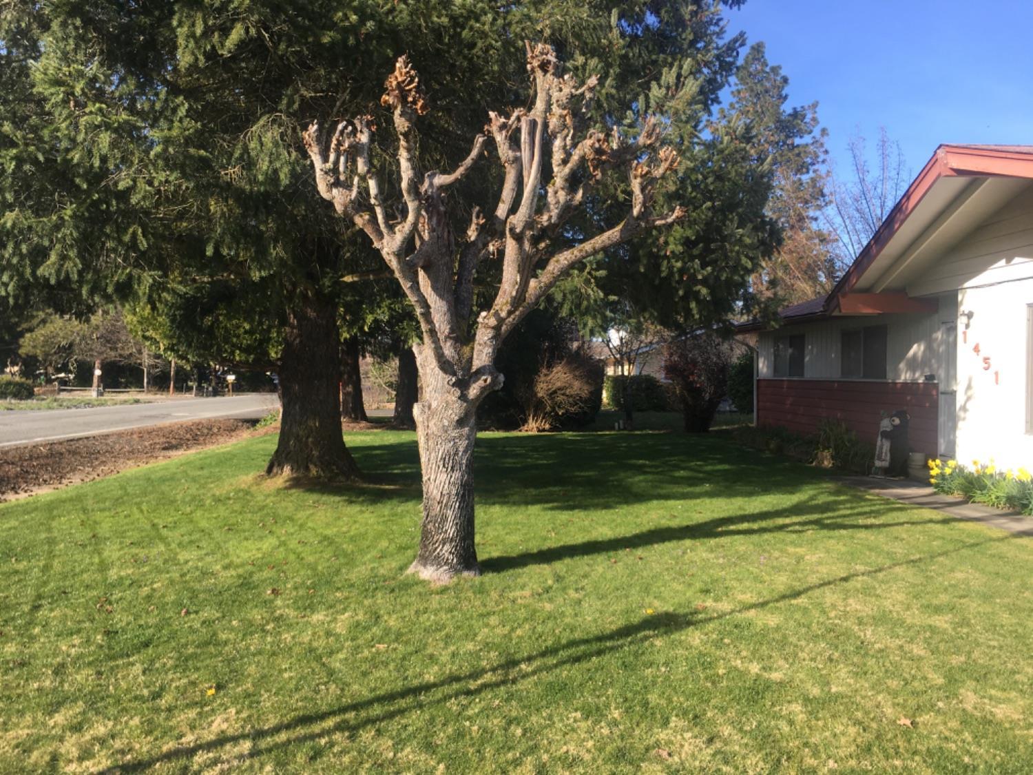 Raydean Subdivision - Residential