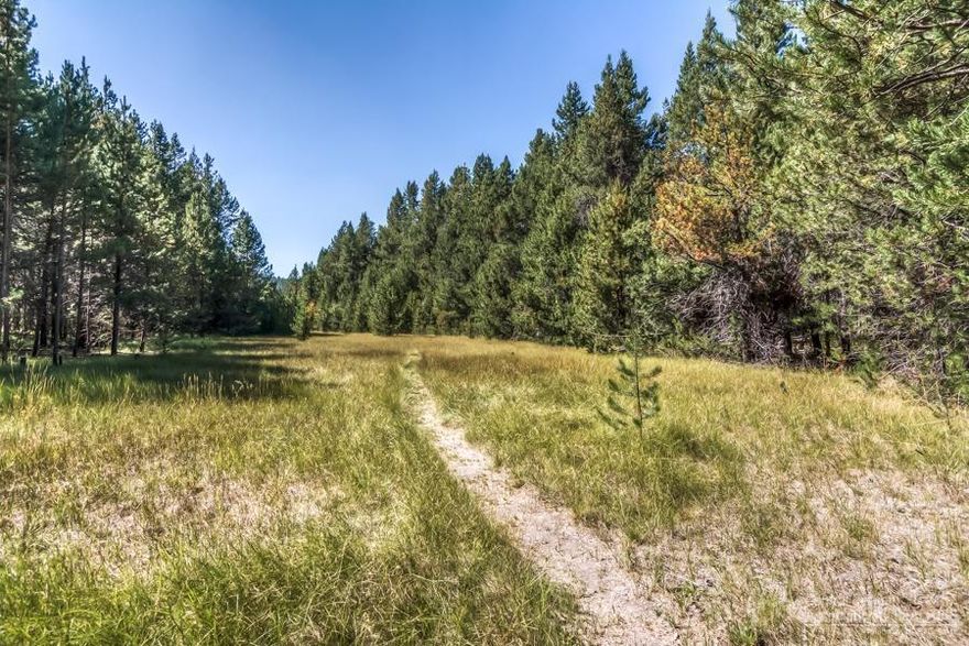 Rare acreage opportunity in DRRH! Purchase this lot with adjoining home and lots which are also available for purchase with a package totaling 3 acres. Deeded river access and walk to Ann's Butte trailhead with miles of hiking and mountain biking trails. 16960 Glendale, and 16963, 16957, 16951 Fontana also available for purchase. Purchaser of 16960 Glendale receives first right of refusal to purchase this lot.
