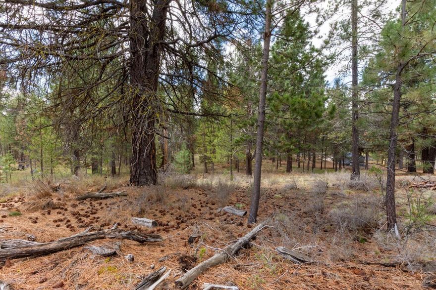 Beautiful .61 acre lot in Three Rivers South ready for you to build your dream home on! Three Rivers South is located a few miles south of Sunriver and a short drive to Mt Bachelor, Paulina Peak, & the Cascade Lakes. This nicely treed homesite  is a short walk away from the Deschutes River and received septic feasibility approval in 2015. A home with a walkout basement would fit nicely into the gently sloped hill.  Central Oregon is known for its golfing, skiing, biking, hiking, snowmobiling, and fly fishing. HOA dues go towards road maintenance and snow plowing. Buyer to do their own due diligence.