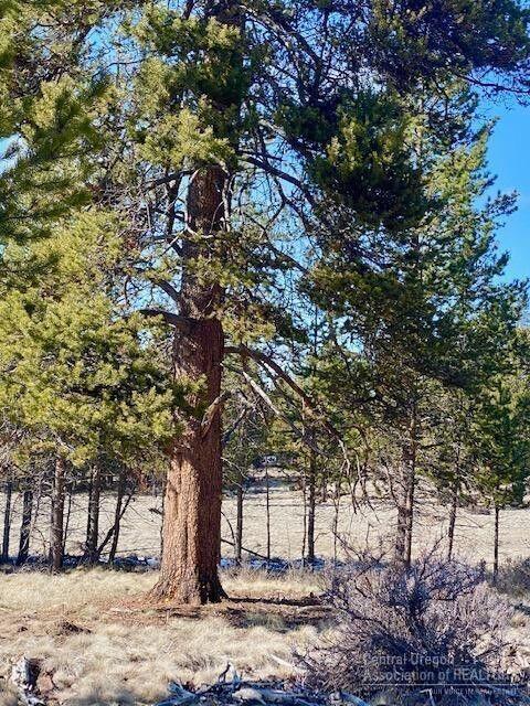 Split Rail Ranchos - Land