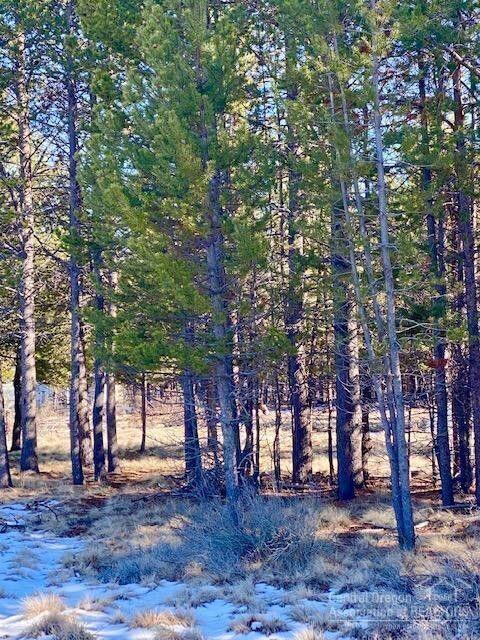 Split Rail Ranchos - Land