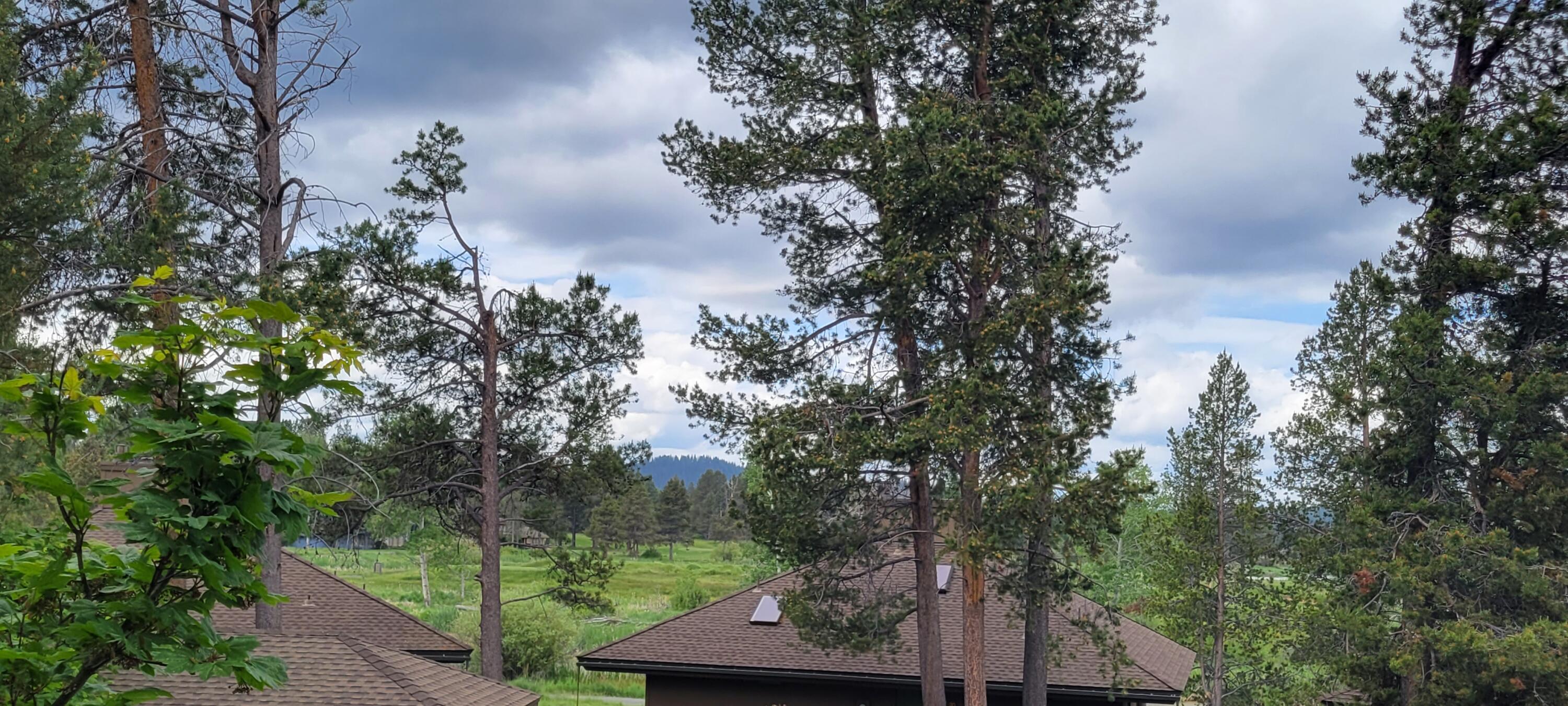 Kitty Hawk - Residential