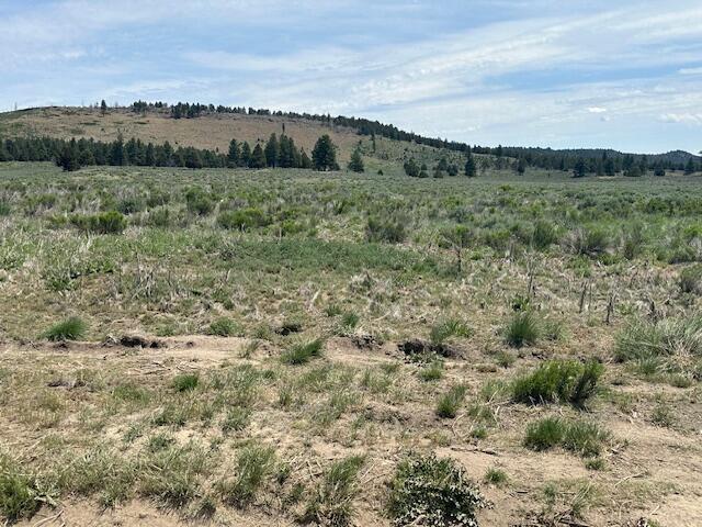 Klamath Forest Estates - Land