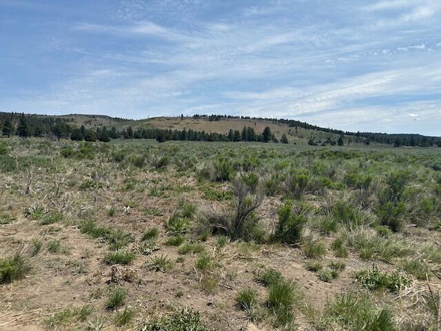 Klamath Forest Estates - Land