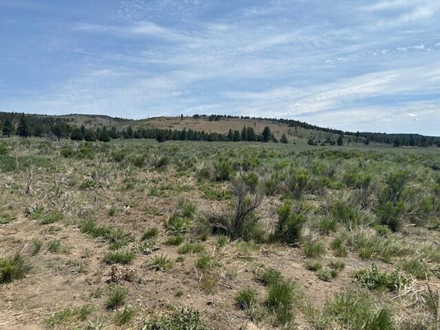 Great views of surrounding mountains and valleys. 2.37 acres ready to build your off grid home, manufactured structure or whatever your dream of. This is a quiet and remote location that is abundant with wildlife. Nearby fishing, hunting and other outdoor activities await. Power is nearby on Mule Deer.