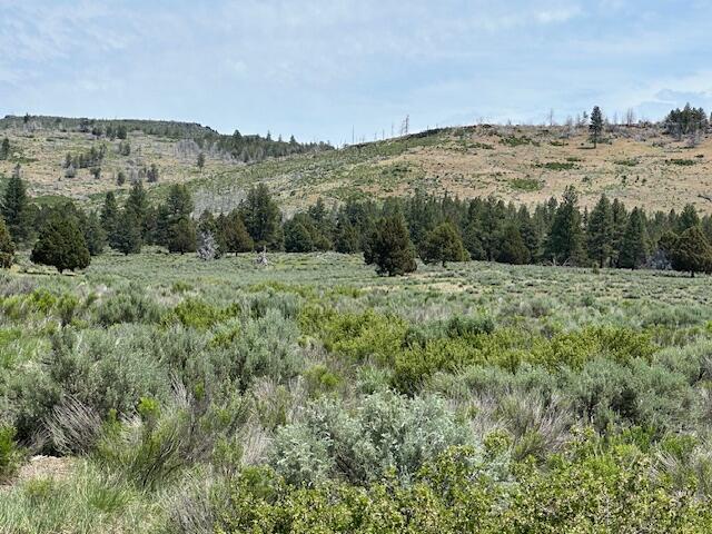 Klamath Forest Estates - Land