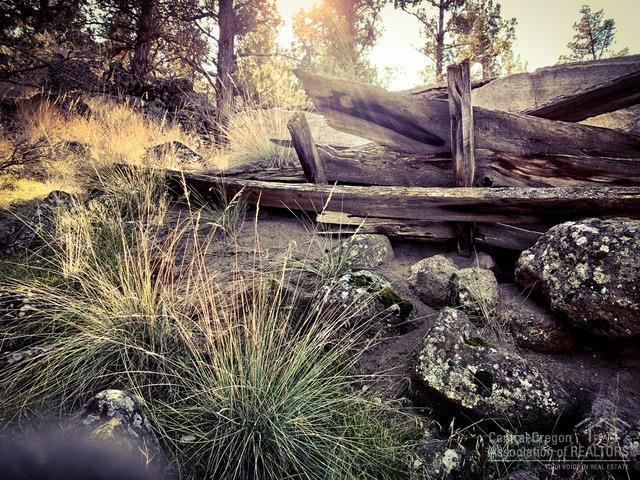 Whispering Pines - Land