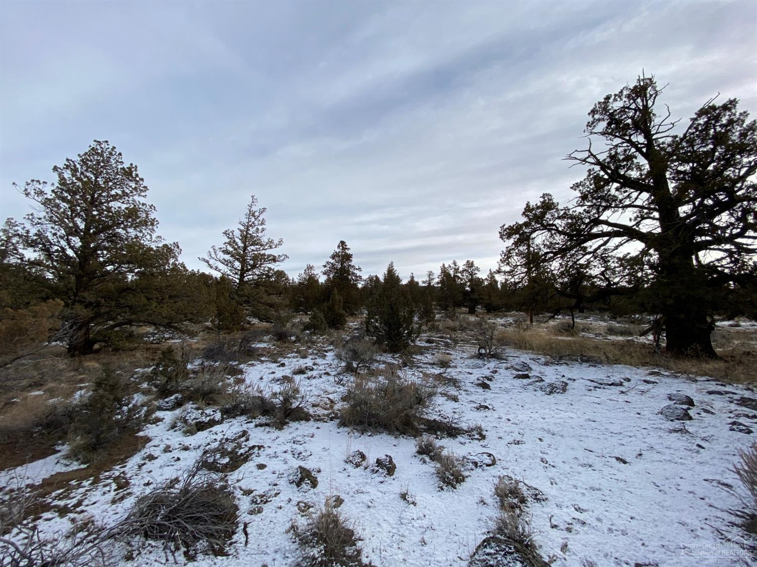 Whispering Pines - Land