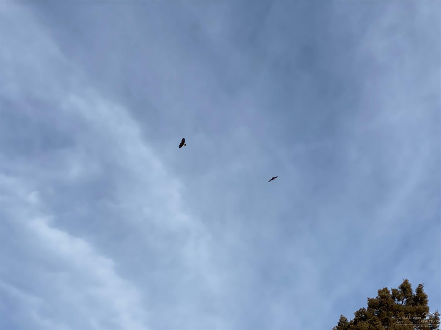 Whispering Pines - Land