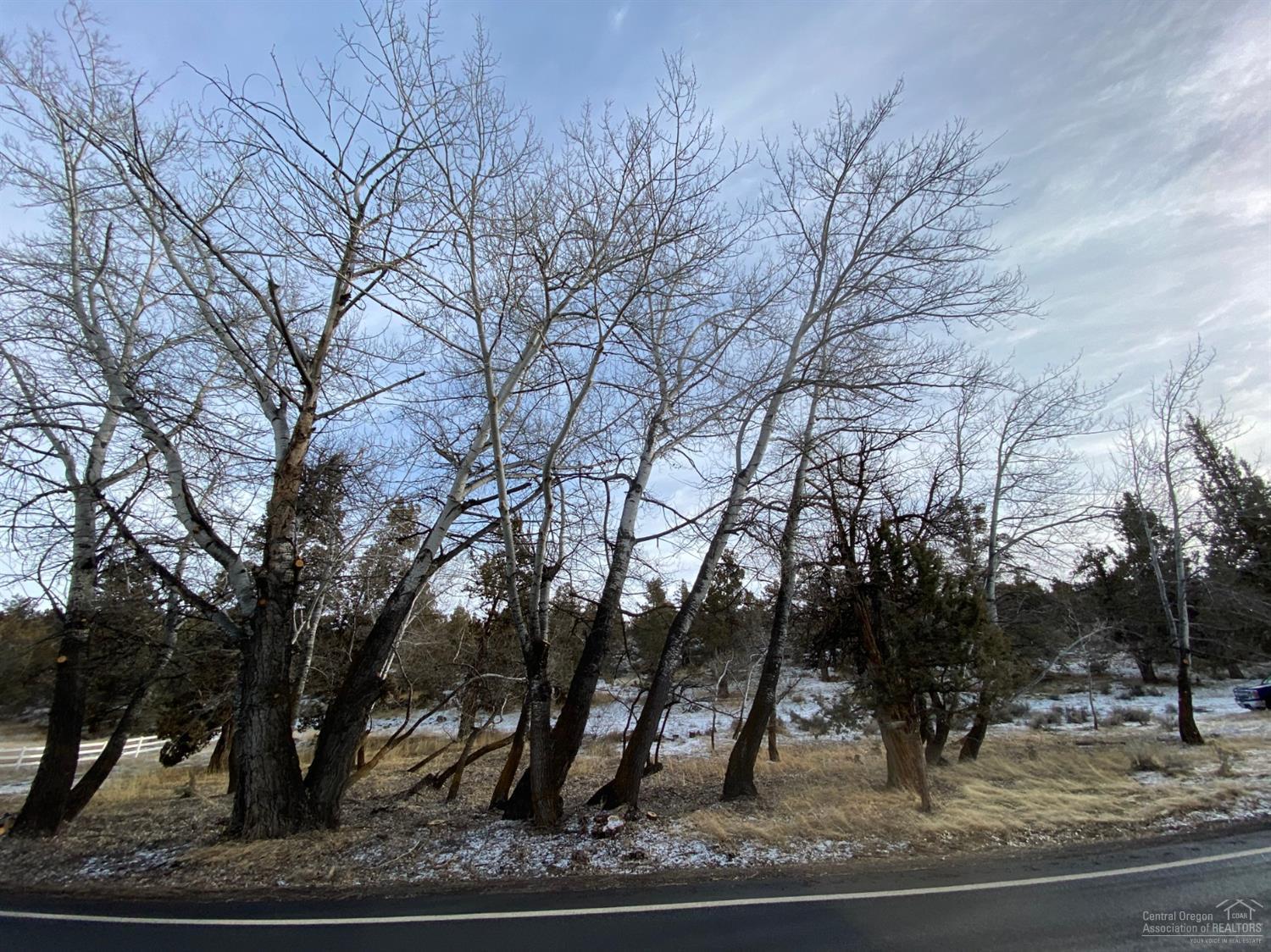 Whispering Pines - Land