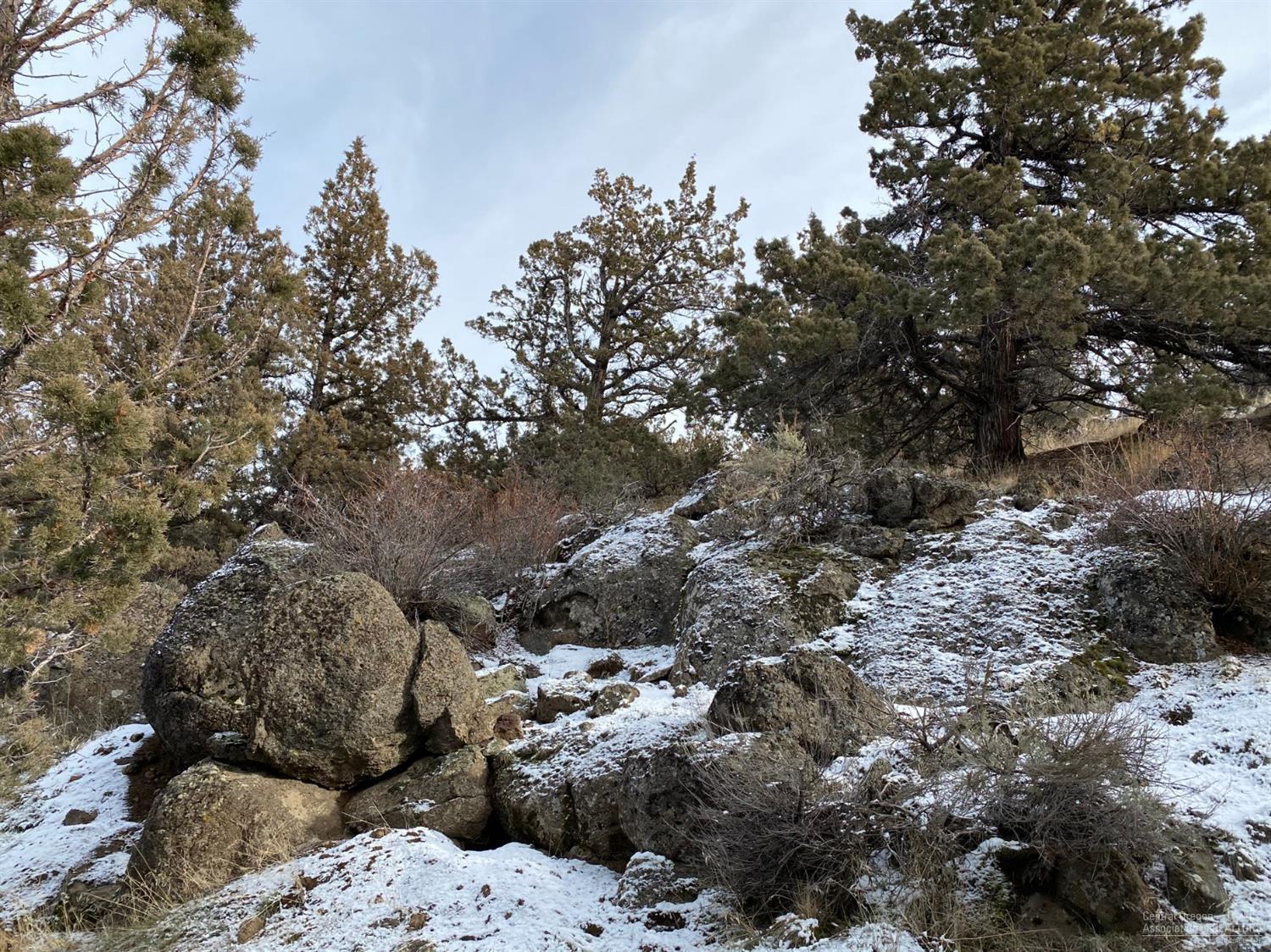 Whispering Pines - Land