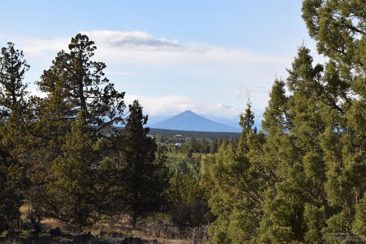 Whispering Pines - Land