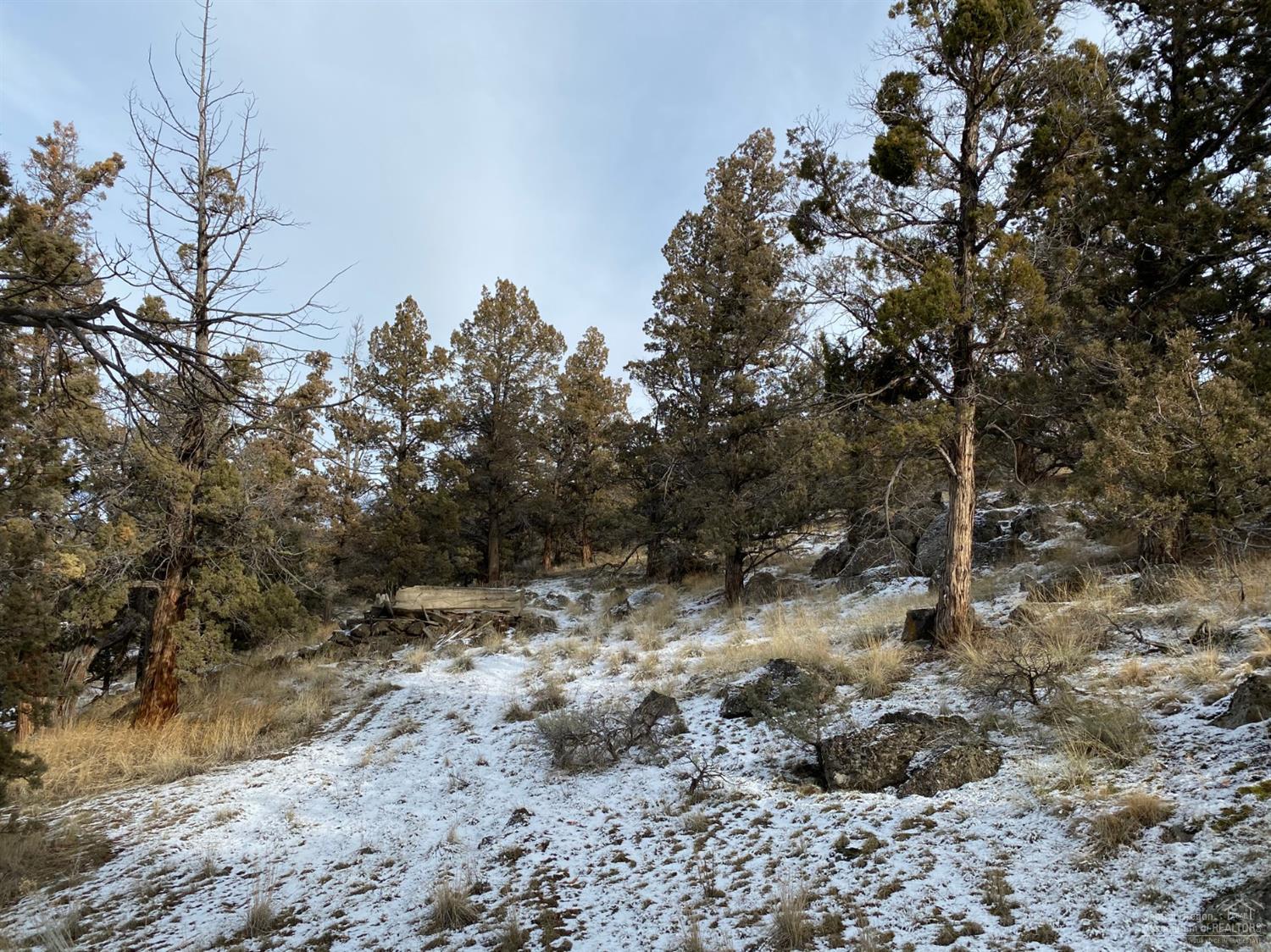 Whispering Pines - Land