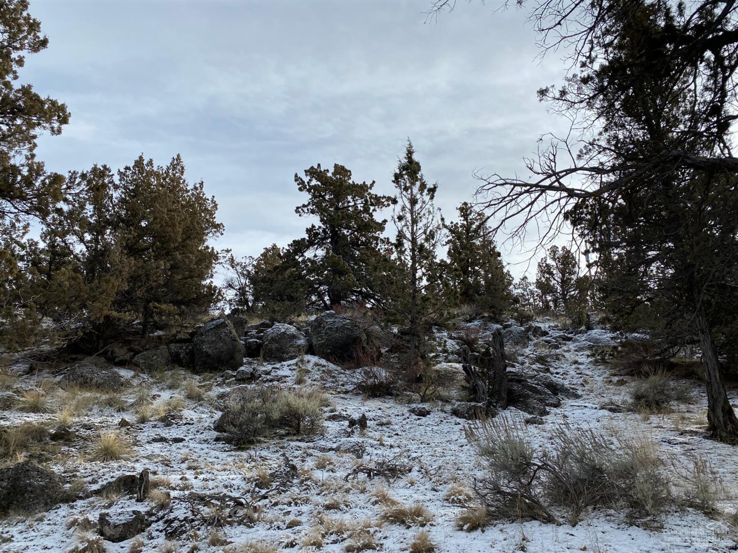 Whispering Pines - Land