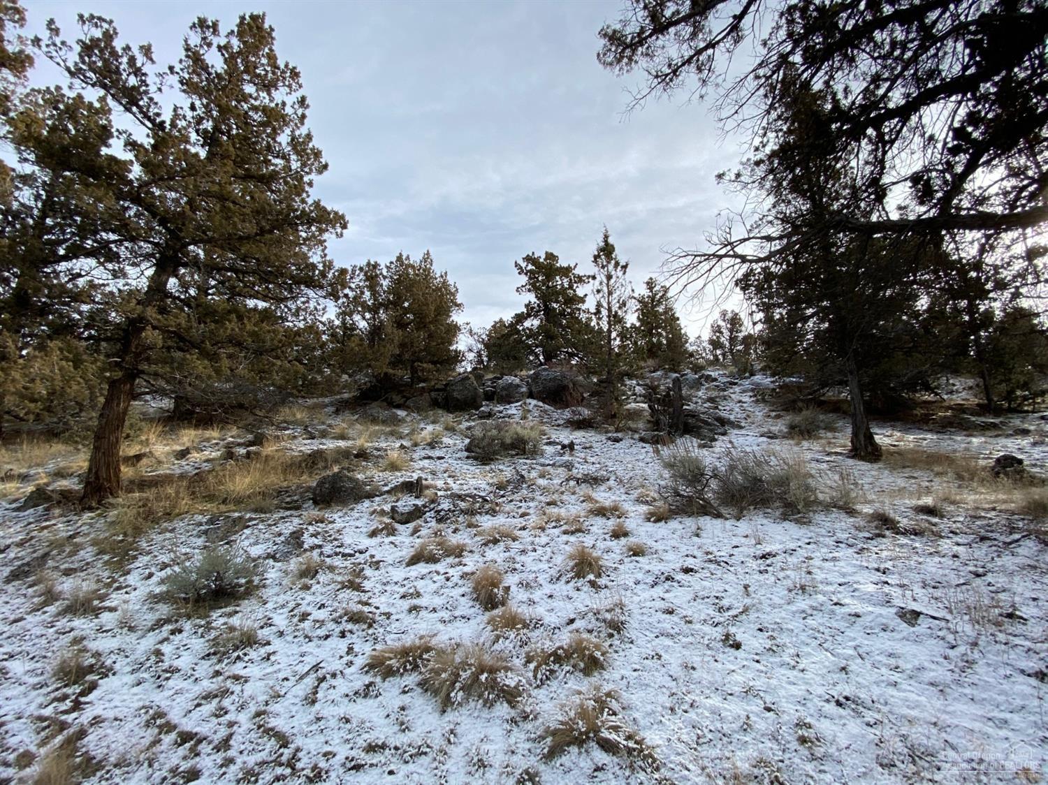 Whispering Pines - Land