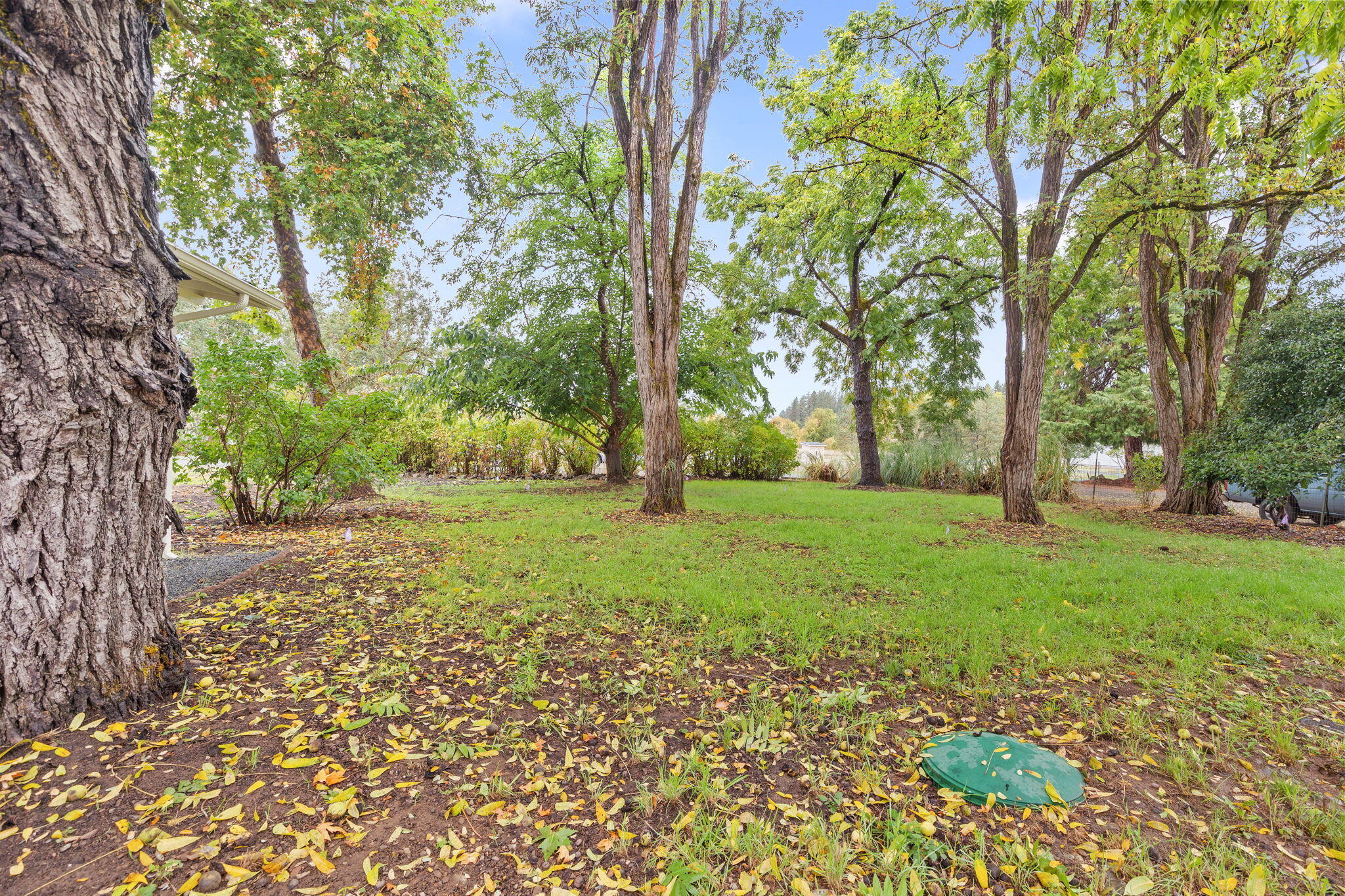 Merlin Townsite - Residential