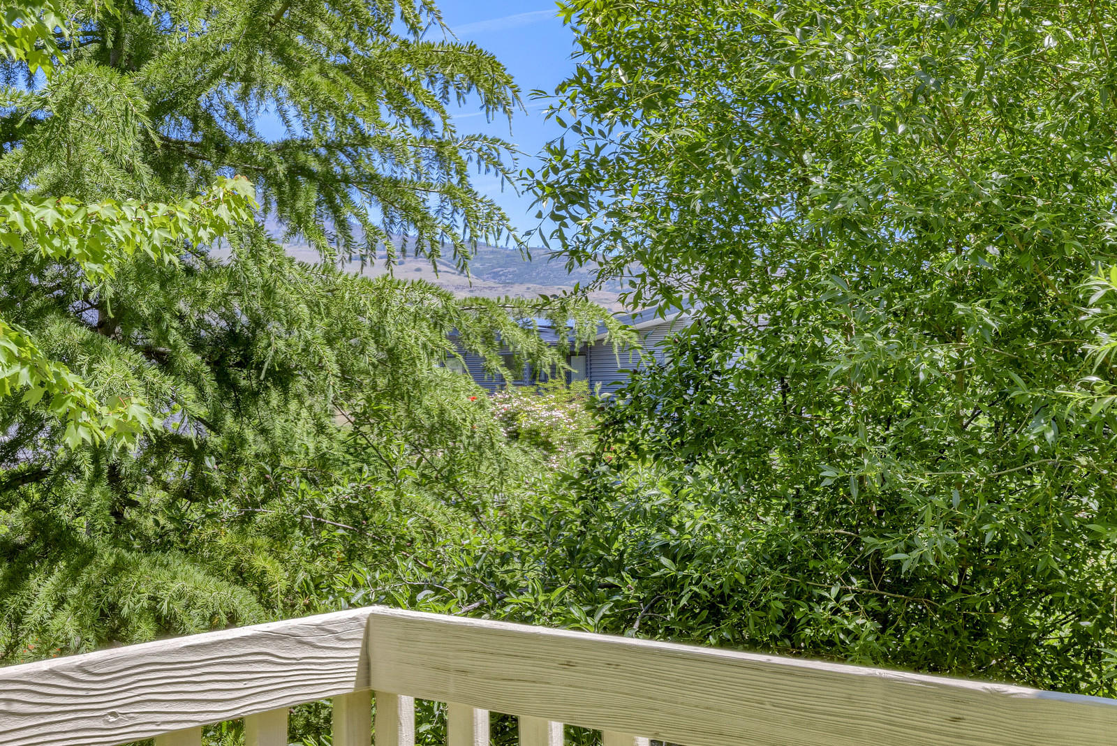 Thomas Subdivision - Residential