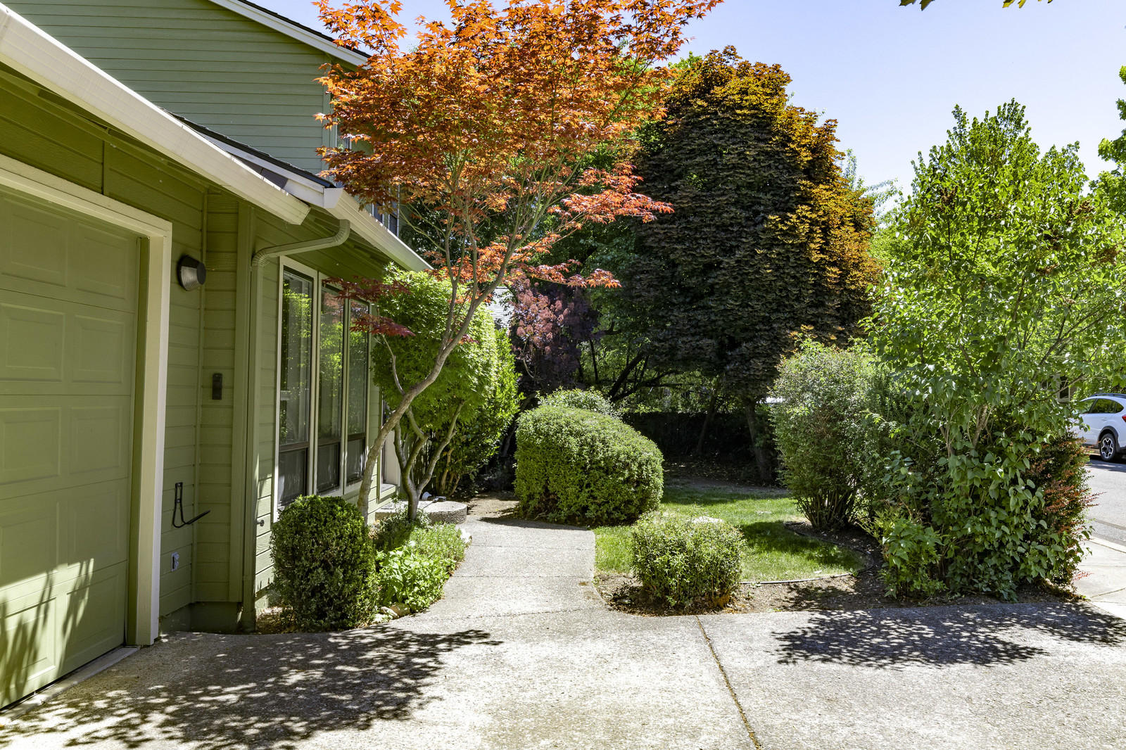 Thomas Subdivision - Residential