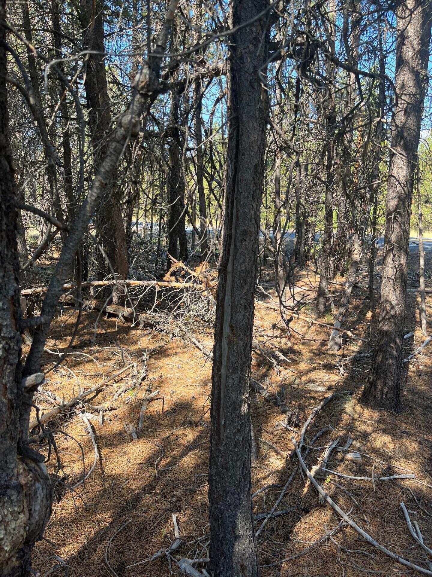 17123 Spring River Road 14