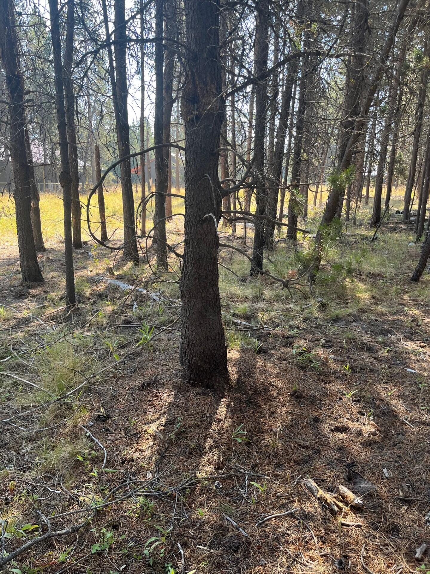 17123 Spring River Road 14