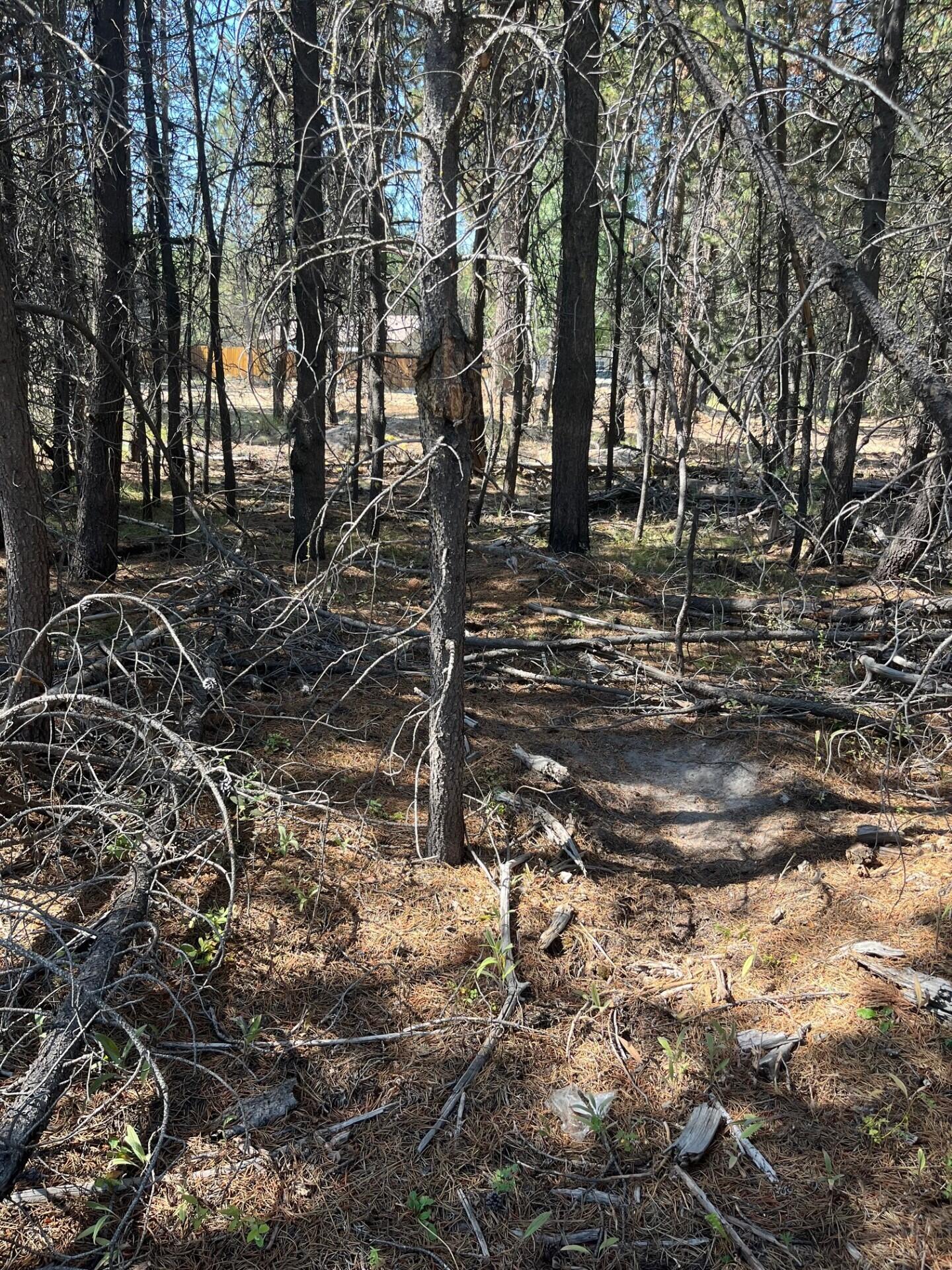 17123 Spring River Road 14