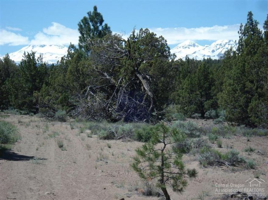 18.73 acres, adjacent to BLM/Public lands. Near Fryrear Trailhead. Ride your horse, hike and enjoy the open space. Septic feasibility approved. CUP was approved, now expired. Well needed (sample well depths 274 to 383 feet). CEC can serve power at Buyer's expense. Well irrigation right may be available to purchase from Seller outside of escrow. Buyer to do their own due diligence for their intended use.