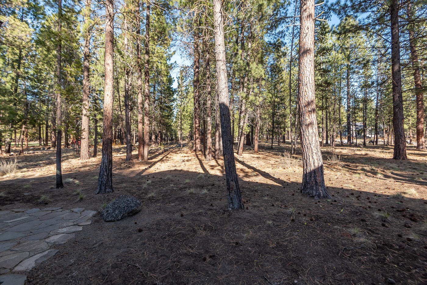 Caldera Springs - Residential