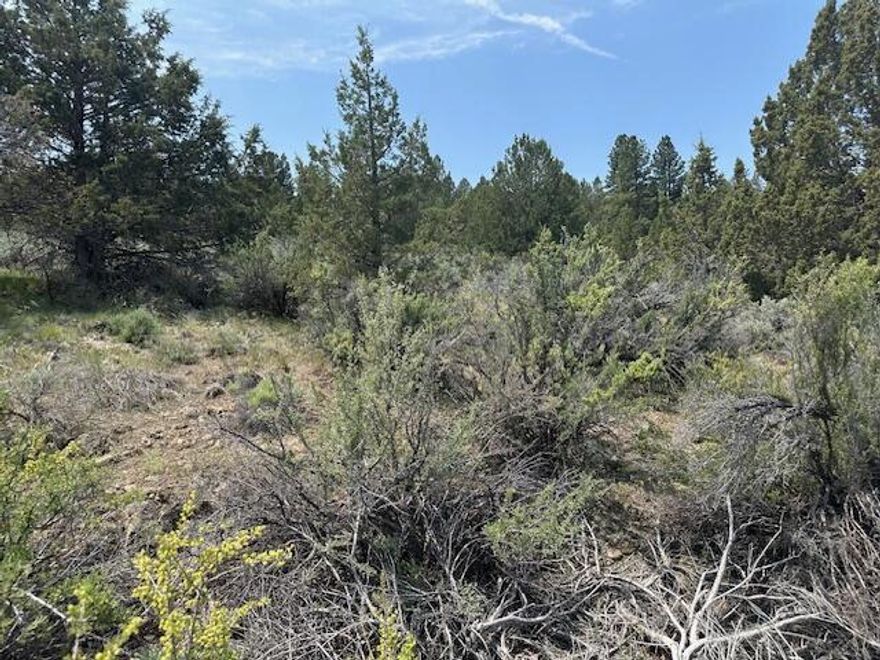 Nice 1.76 acre parcel situated up high on the rim plateau with Sprague River and Sprague River valley views. Just minutes away from several thousand acres of public forest lands. The Sprague River is just down the hill for fishing and bird hunting or viewing. Great sense of community in this area for folks who choose to live off grid. Fuel, supplies and post office are located in the community of Sprague River just 10 -15 minutes away.